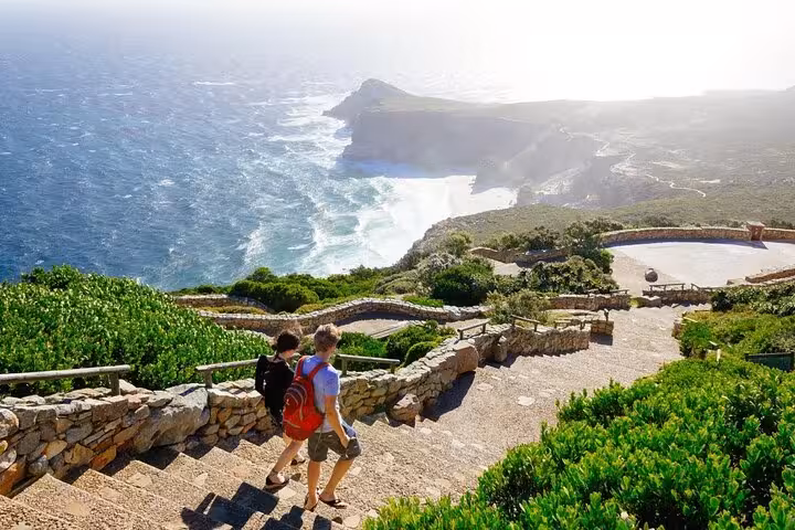 Tourists walking down lush green path with stunning ocean views at Cape Point, Cape Town, on a private tour.