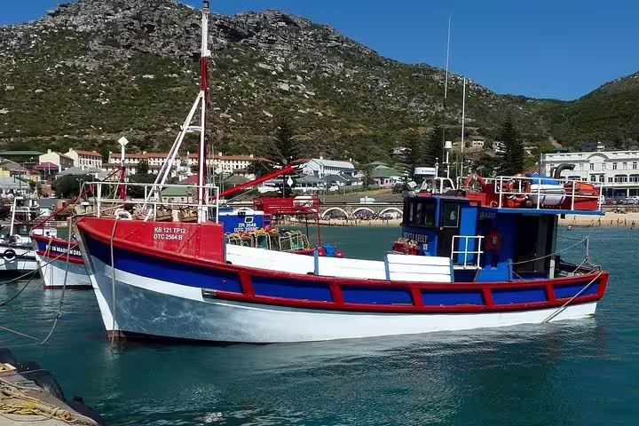 Colorful fishing boat docked at a scenic harbor near Cape Town on the Cape of Good Hope tour.