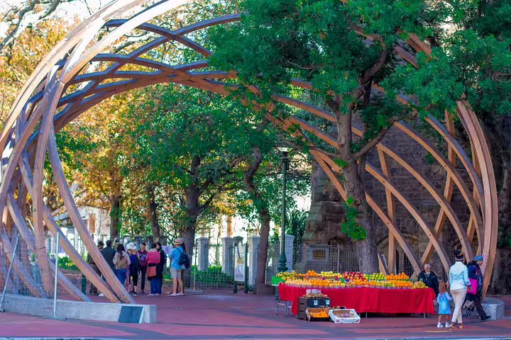 Visitors enjoy a vibrant market under a wooden canopy with lush trees on a Cape Town guided half-day tour.