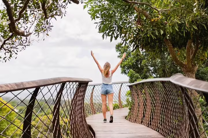 Woman enjoying a walk on a scenic wooden bridge surrounded by lush greenery in Cape Town.