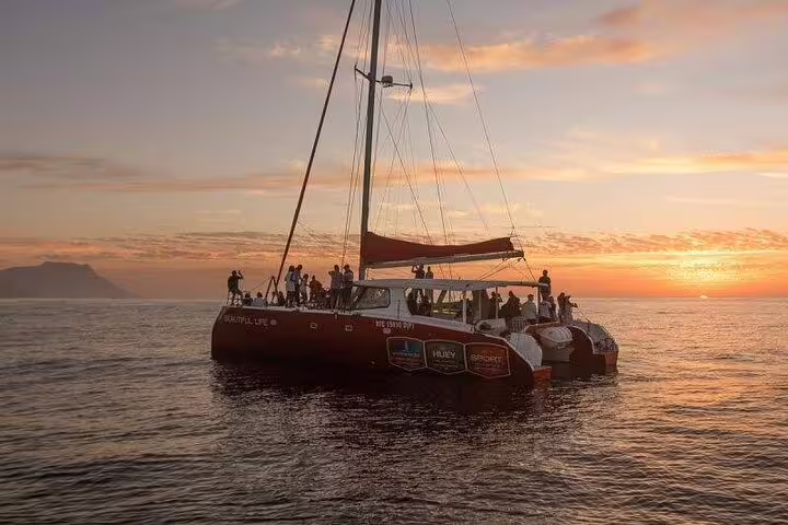 Tourists enjoy a scenic sunset cruise on a catamaran with Table Mountain in the background, Cape Town tour highlight.