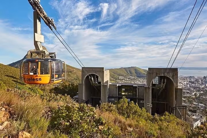 Aerial view of Cape Town from Table Mountain cable car, showcasing stunning cityscape and lush greenery.