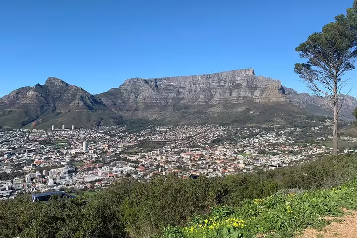 Stunning panoramic view of Cape Town cityscape with Table Mountain backdrop, ideal for private tours and photography.
