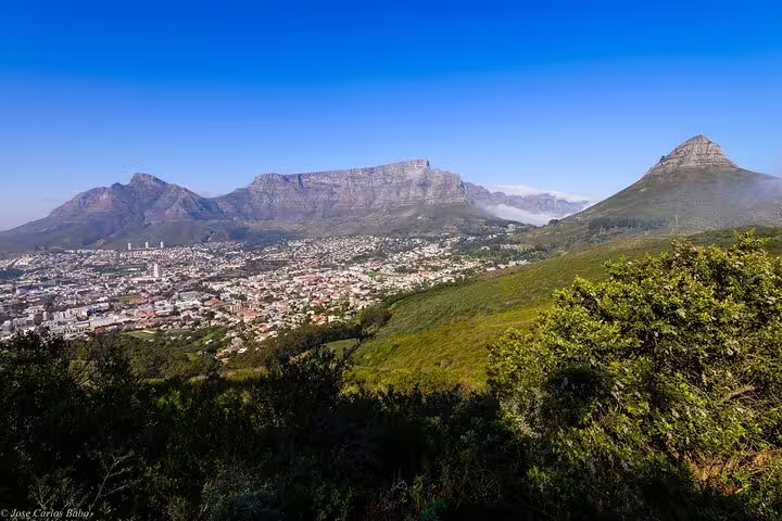 Panoramic Cape Town city view with Table Mountain and Lion’s Head on a half-day sightseeing tour