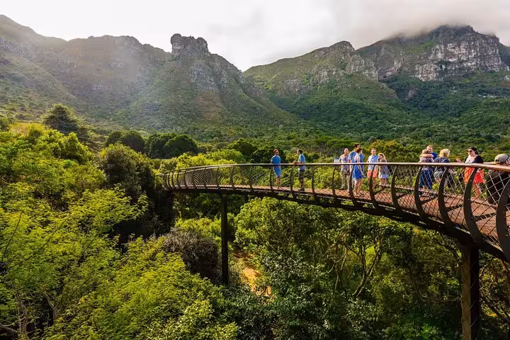 Visitors enjoy a scenic walk on a treetop bridge amidst lush greenery with majestic mountains in Cape Town.