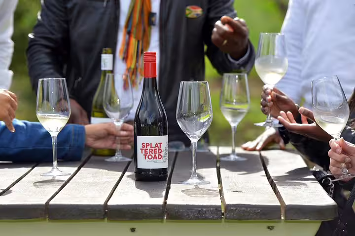 Wine tasting experience with Splat Toad wine bottles and glasses on a picnic table during Cape Town's private day tour.