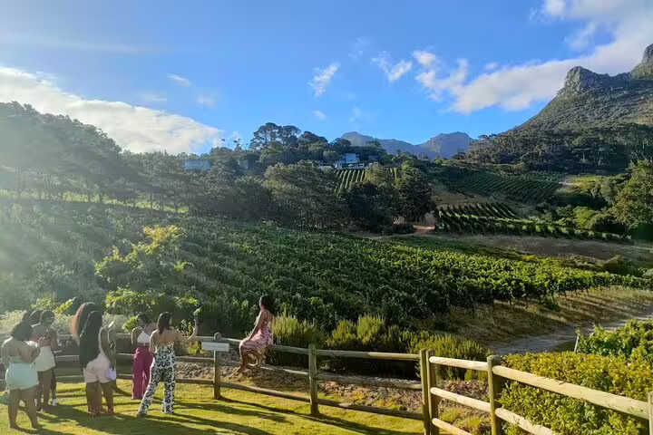 Guests admire Cape Town vineyard views with mountains on a private wine tasting tour in the Winelands