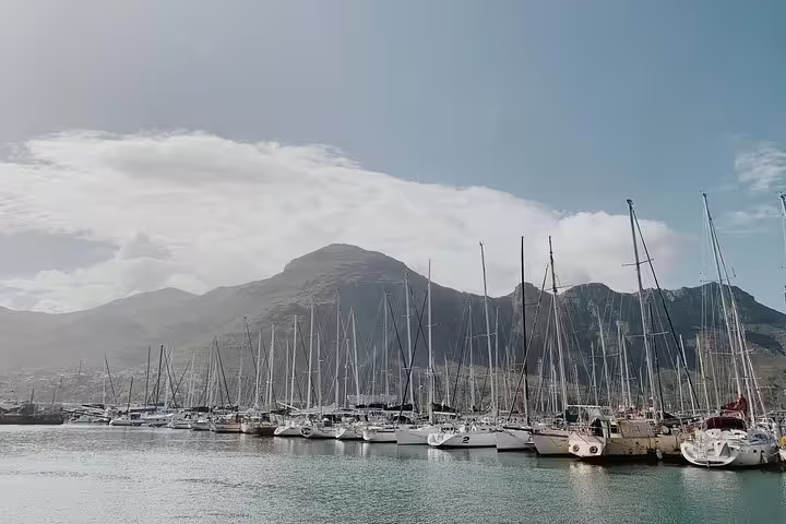 Scenic view of yachts anchored in a marina with mountains in the background on a tour from Cape Town.