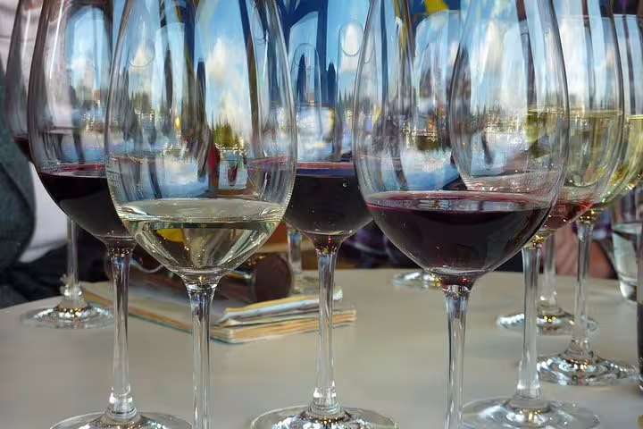 Assorted wine glasses ready for tasting in Franschhoek, highlighting the rich flavors of the Cape Winelands tour.