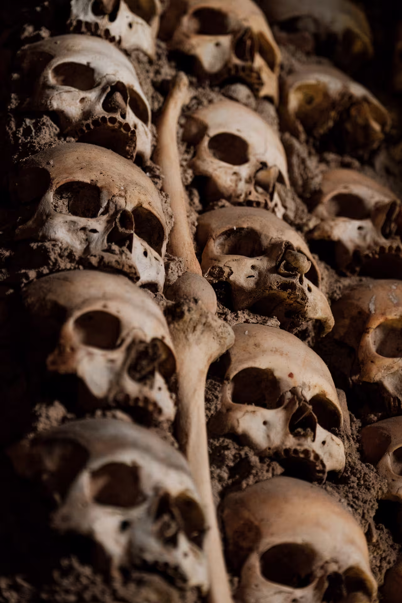 Close-up of skulls and bones in the Capela dos Ossos, Évora, a historical site on the Wines & Wonders of Alentejo tour.