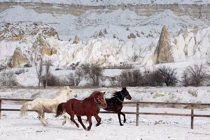 Horses running in snowy Cappadocia landscape showcasing stunning rock formations during a private winter tour.
