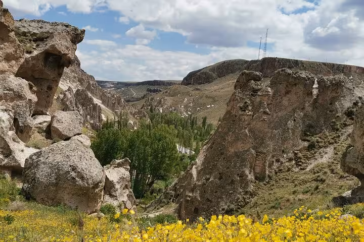 Cappadocia valley view with rocky cliffs and wildflowers on a 2-day private trekking tour route
