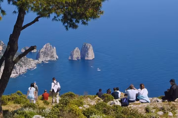 Visitors enjoy panoramic views of Capri's iconic cliffs and sea from a scenic spot on the Anacapri tour.