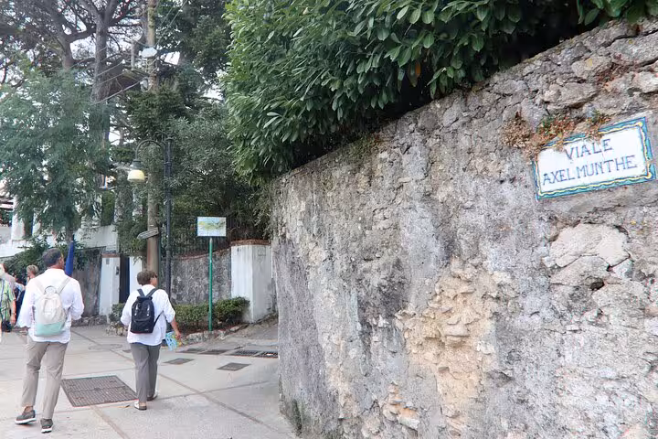 Tourists walking along the historic Viale Axel Munthe, surrounded by lush greenery and ancient stone walls in Capri.