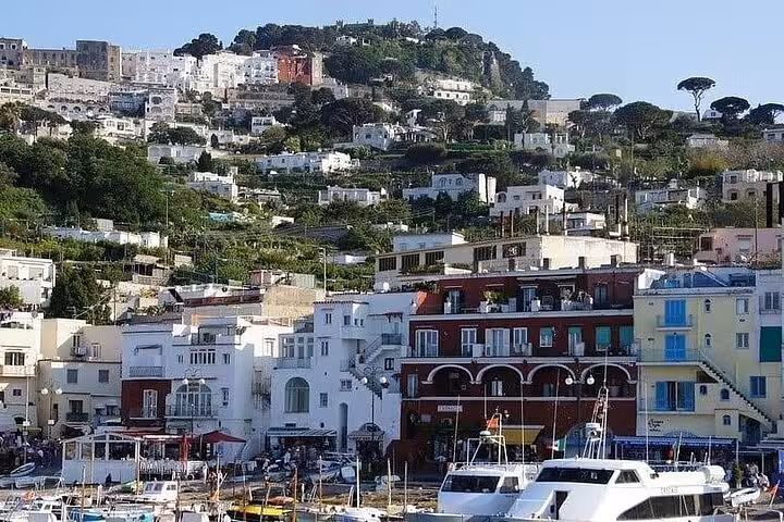 Picturesque hillside view of Capri's colorful buildings and lush landscapes from the harbor on a hydrofoil tour.