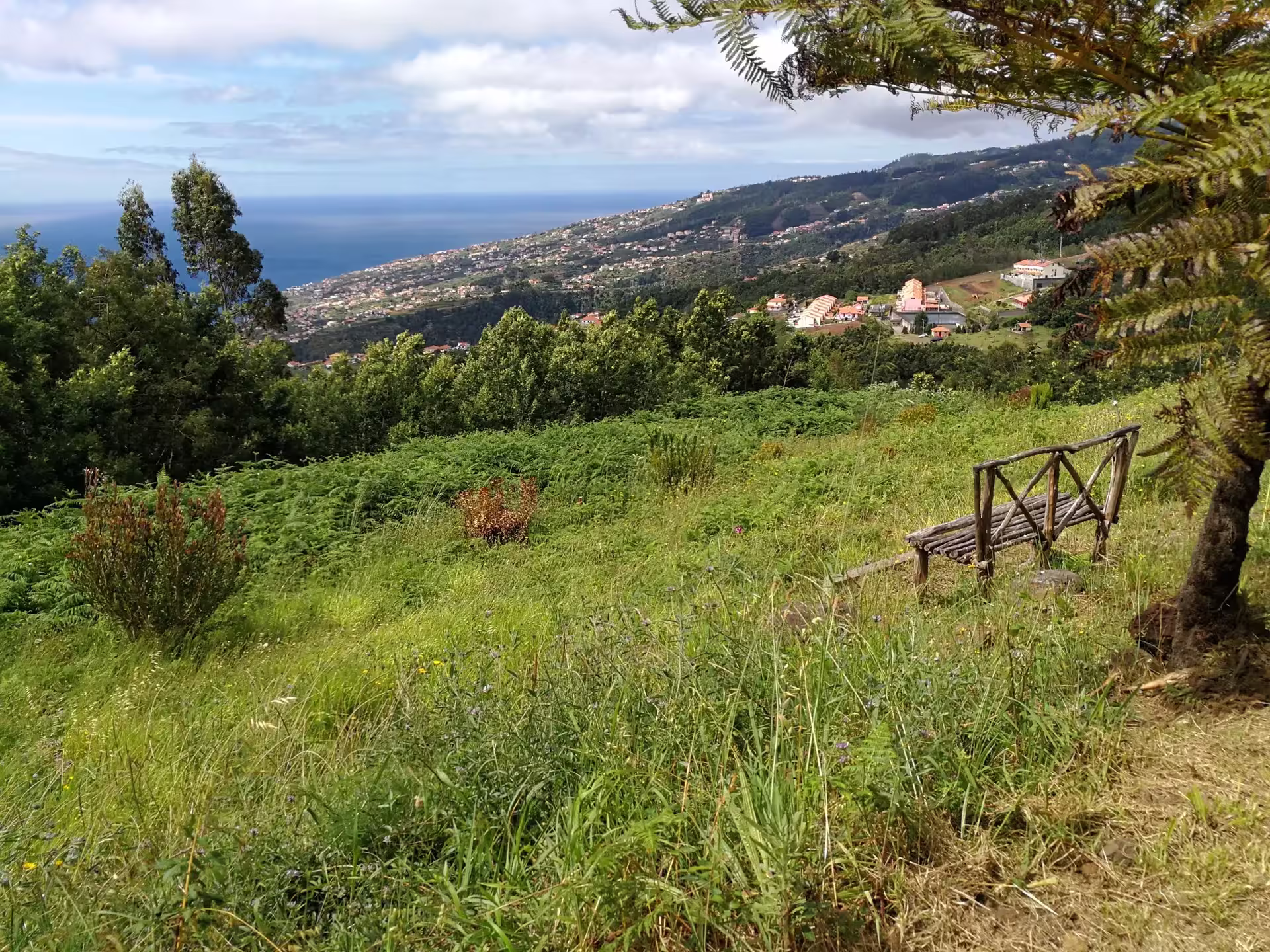 Scenic view of lush green hills and coastal town from The Cardinal's Hike, perfect for nature lovers and photographers.