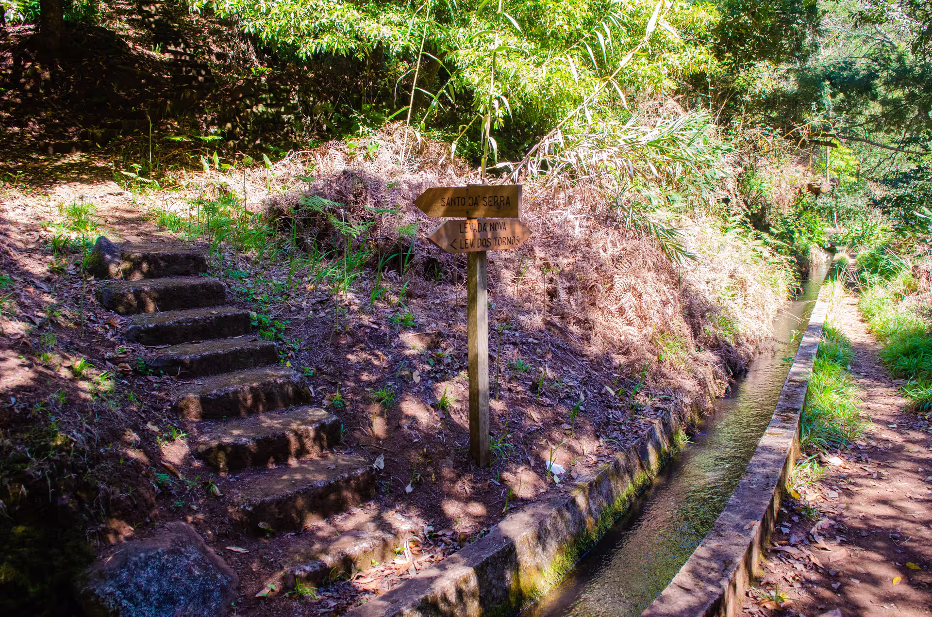 Wooden signpost on a forest path with stone steps on The Cardinal's Hike, guiding hikers through lush greenery.