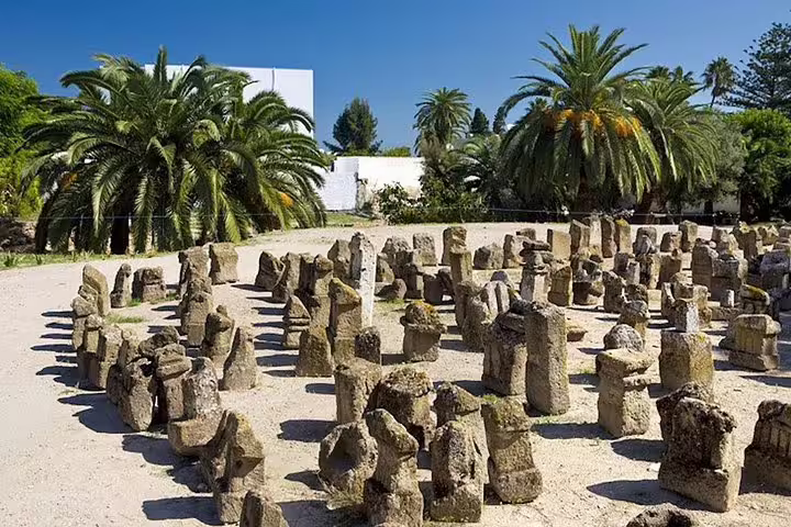 Ancient Carthaginian stone ruins surrounded by lush palm trees under a clear blue sky on a half-day Carthage tour.