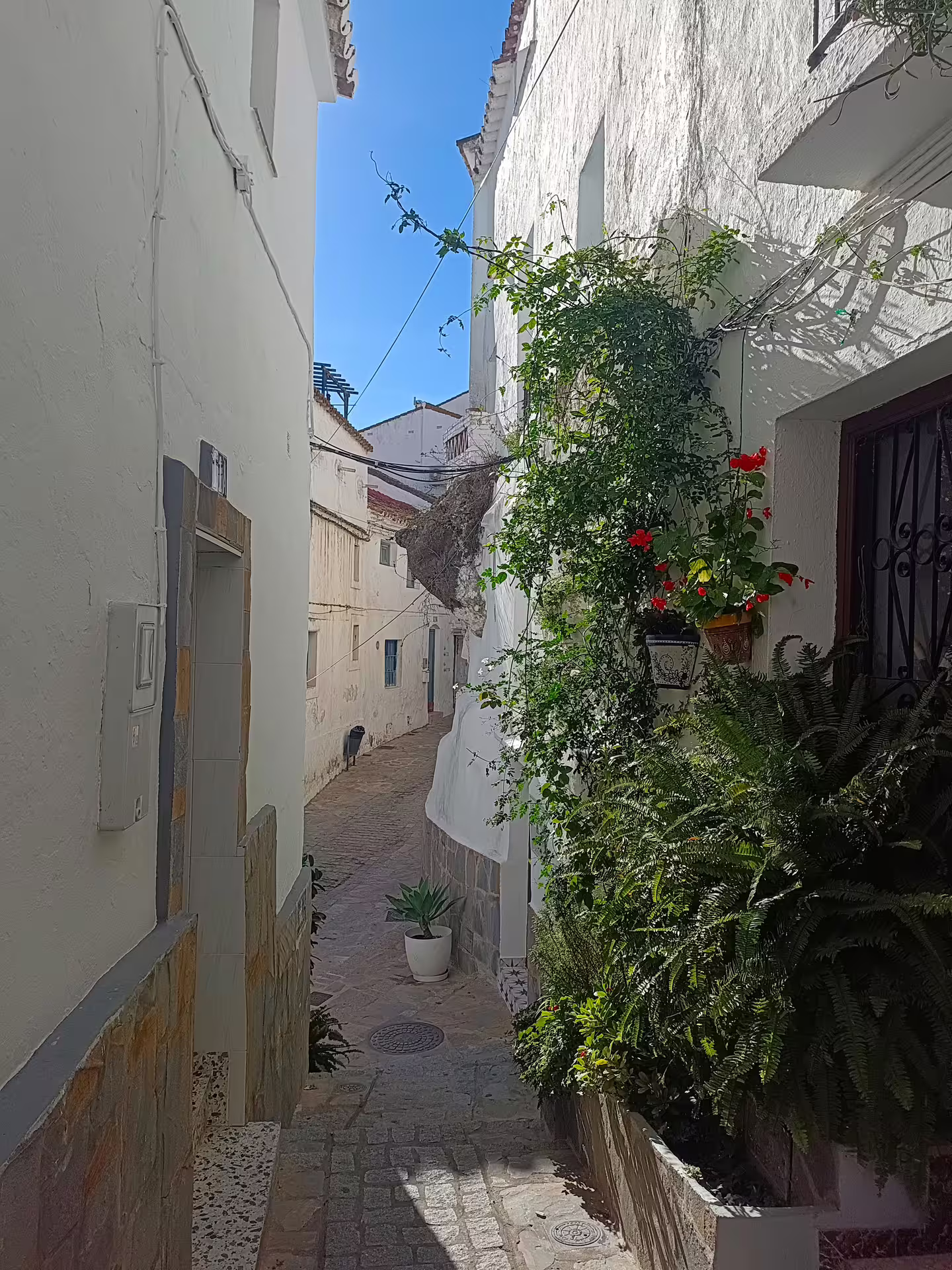 Narrow Casares old town alley with whitewashed houses and plants, private Costa del Sol day trip