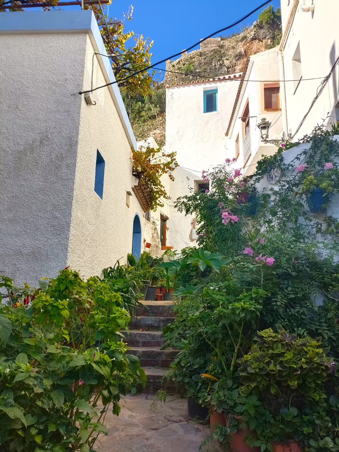 Flower-lined steps between whitewashed houses in Casares on a private tour from Costa del Sol