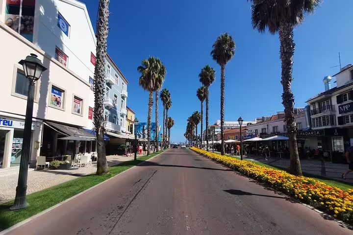 Scenic street lined with palm trees and colorful buildings in Cascais, Portugal, on a sunny day during a private full-day tour.