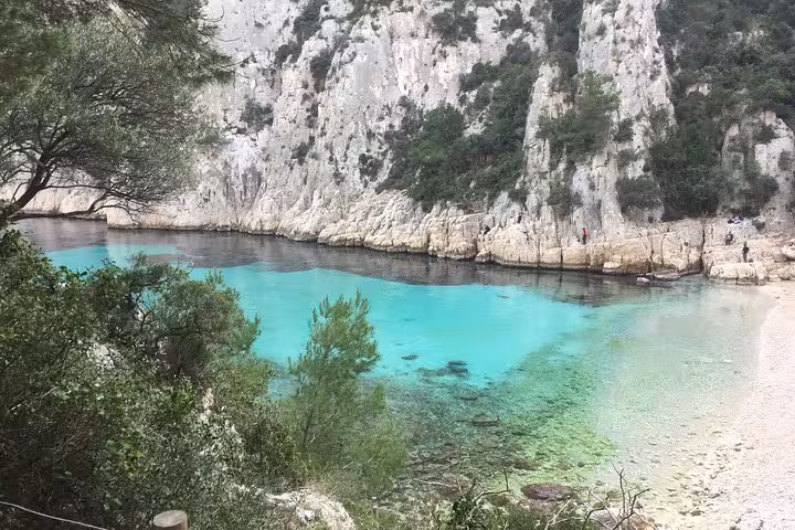 Crystal-clear Calanque cove in Cassis with limestone cliffs and pines, scenic break on Bandol wine tour