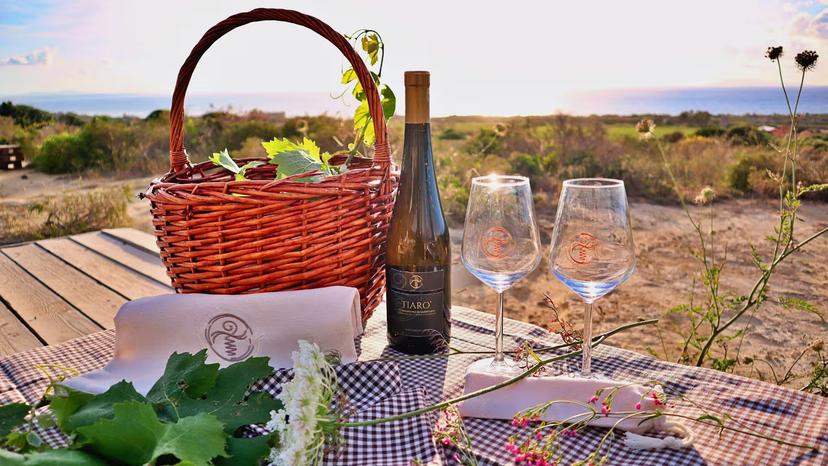 Idyllic picnic setup with wine and glasses overlooking the stunning sea view at a Castelsardo estate.