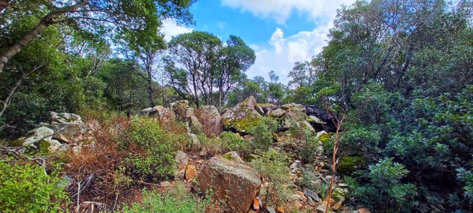 Scenic view of rocky outcrops and dense greenery under a bright blue sky in the S'Acqua Callenti forest, Castiadas.