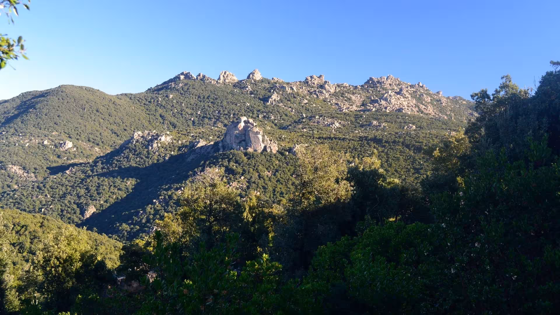 Expansive mountain view with dense forest in S'Acqua Callenti, offering a serene trekking experience in Castiadas.