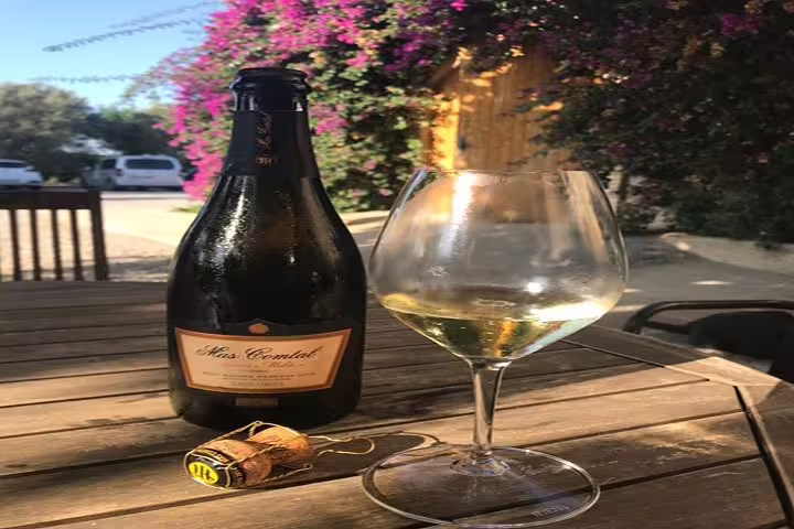 Enjoy a glass of Cava in the picturesque Penedés wine region, showcasing a bottle and glass on a wooden table.