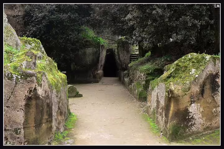 Ancient rock-cut passage and mossy cliffs at the Cave of the Sibyl in Cuma on a private tour from Naples to Phlegraean Fields