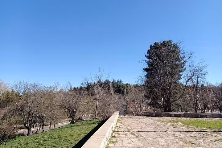 Scenic view of the lush cedar forests under a clear blue sky in Morocco, part of the Fes to Fes tour.