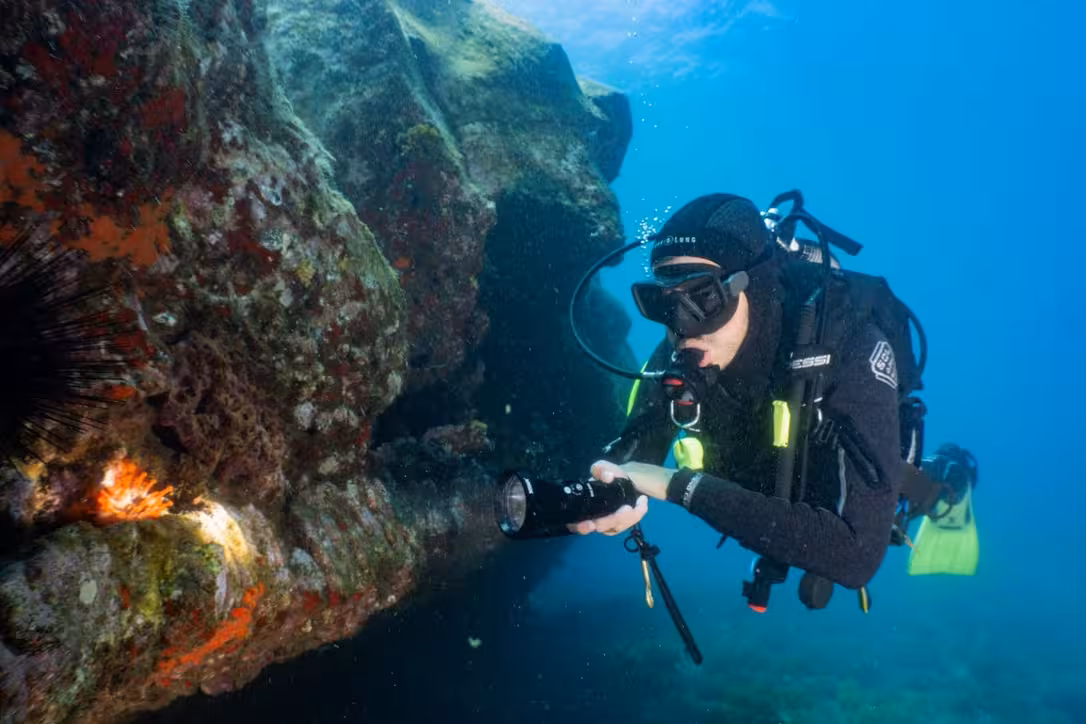 Certified diver with flashlight examines vibrant coral formations during a national park scuba tour.