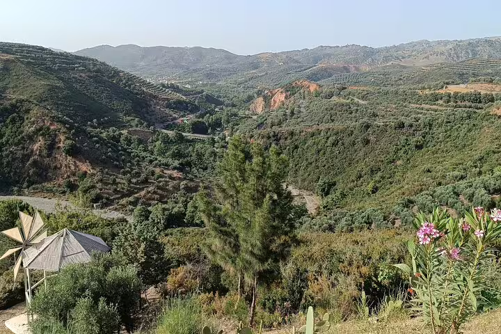 Scenic view of lush green hills and valleys at the Chania Botanical Garden, ideal for a relaxing half-day tour.