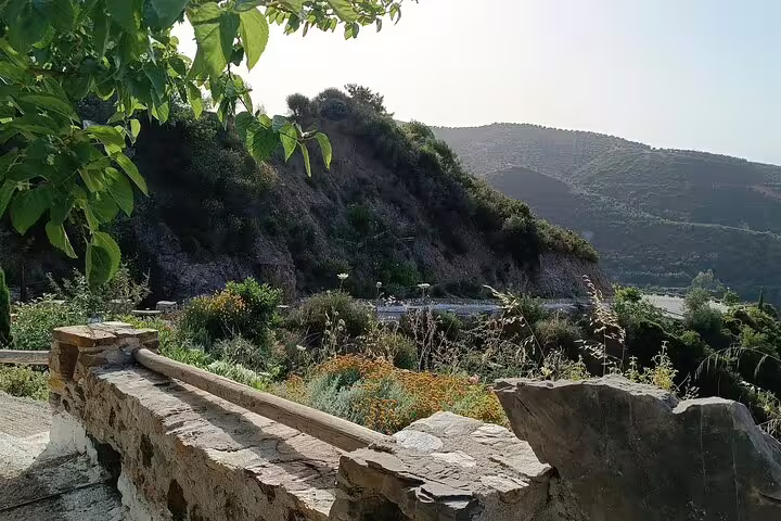 Lush hillside view from Chania's Botanical Garden with diverse Mediterranean vegetation.