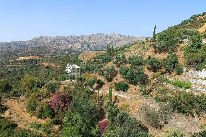 Scenic view of Chania Botanical Garden with lush greenery and a traditional windmill under a clear blue sky.