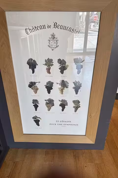 Grape variety display at a Châteauneuf-du-Pape winery, part of a full private day wine tasting from Avignon