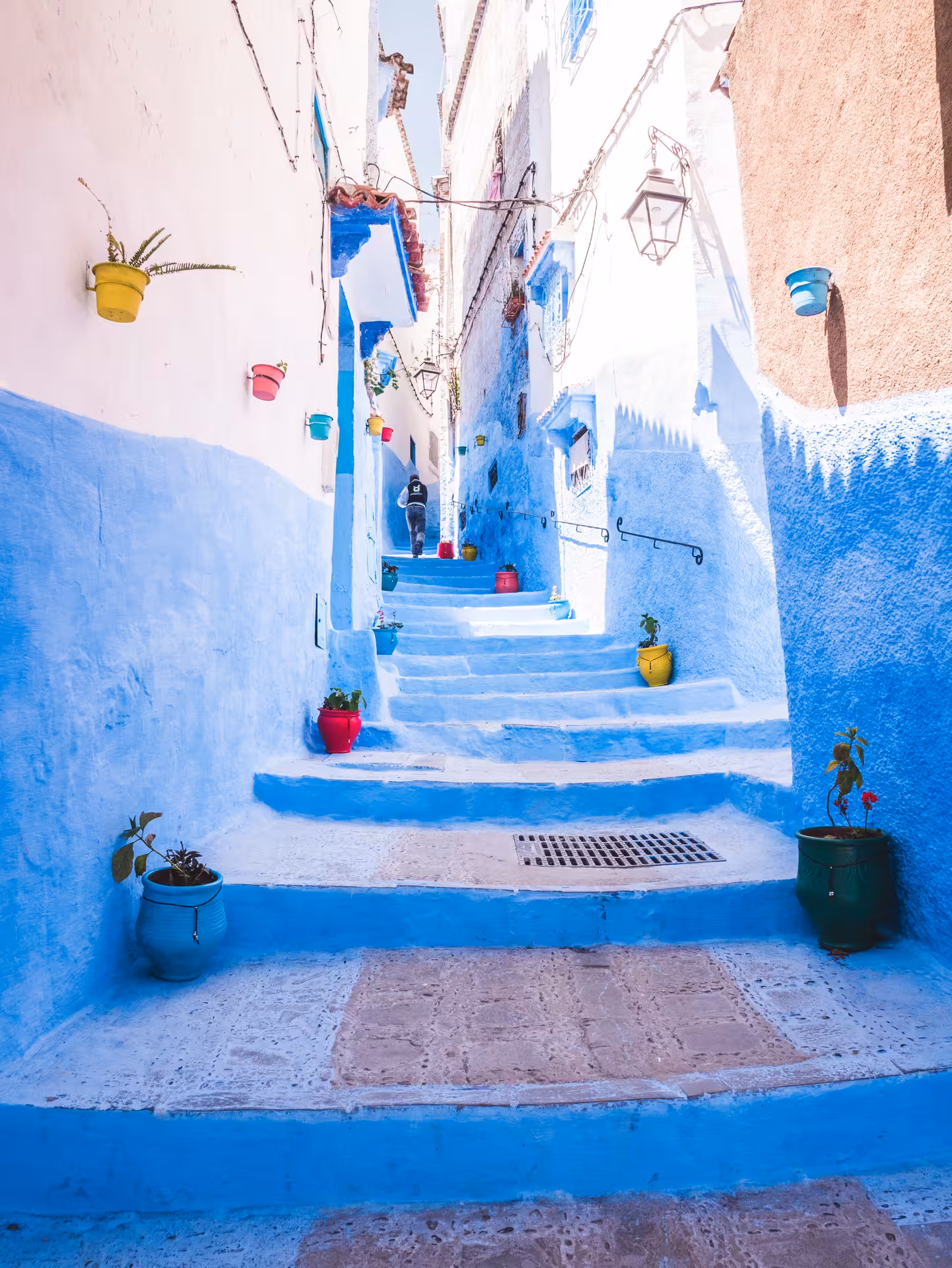 Chefchaouen blue medina staircase with colorful flower pots, Timeless Morocco guided walking tour