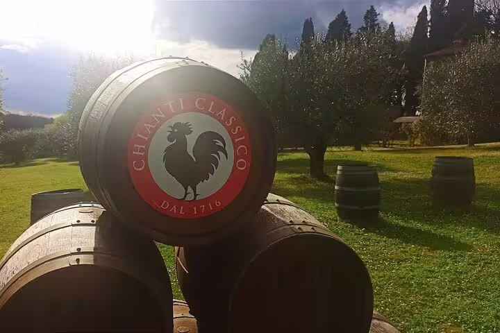 Chianti Classico Black Rooster wine barrel in Tuscan olive grove on Super Tuscan tasting tour near Florence