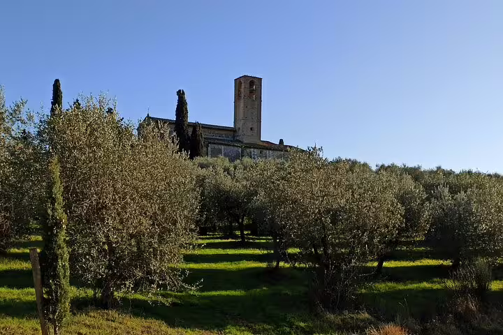 Olive groves and historic stone abbey tower on a sunny hillside in Chianti Classico wine country, Tuscany, Italy