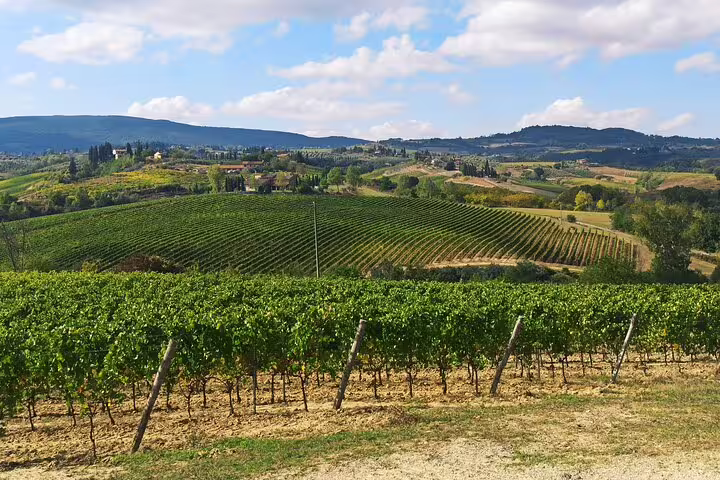 Rolling Chianti vineyards under blue Tuscan skies on an exclusive wine tour from Florence with lunch and tasting