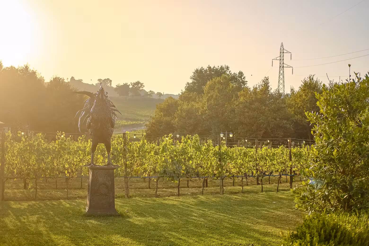 A scenic view of a Chianti vineyard at sunset with a rooster statue, part of the Siena wine tour experience.