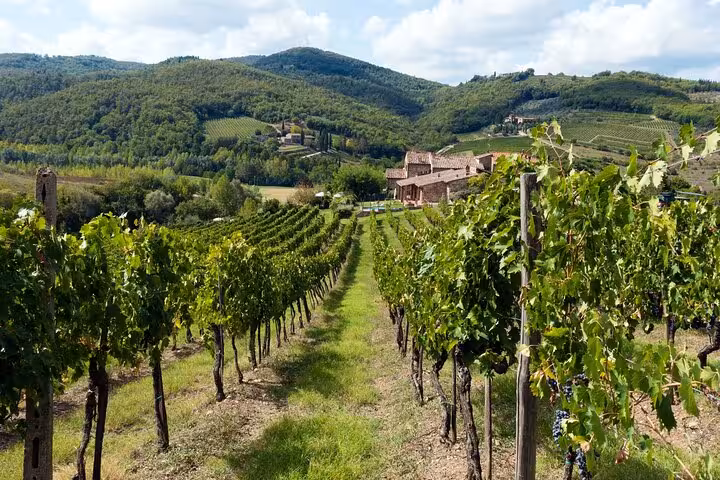 Lush vineyard in Chianti with traditional villa and rolling hills, ideal for wine tasting tours in Tuscany.