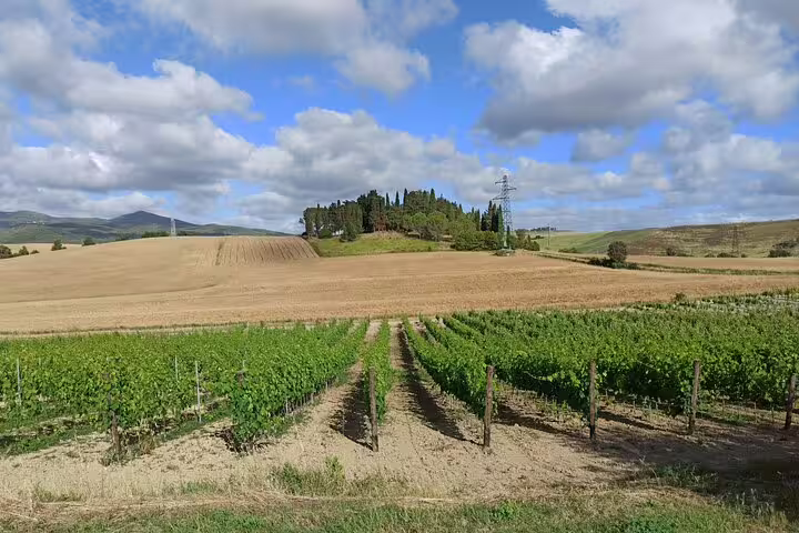 Rolling Chianti hills with lush vineyards under a bright Tuscan sky, ideal for scenic rambles and wine country walks