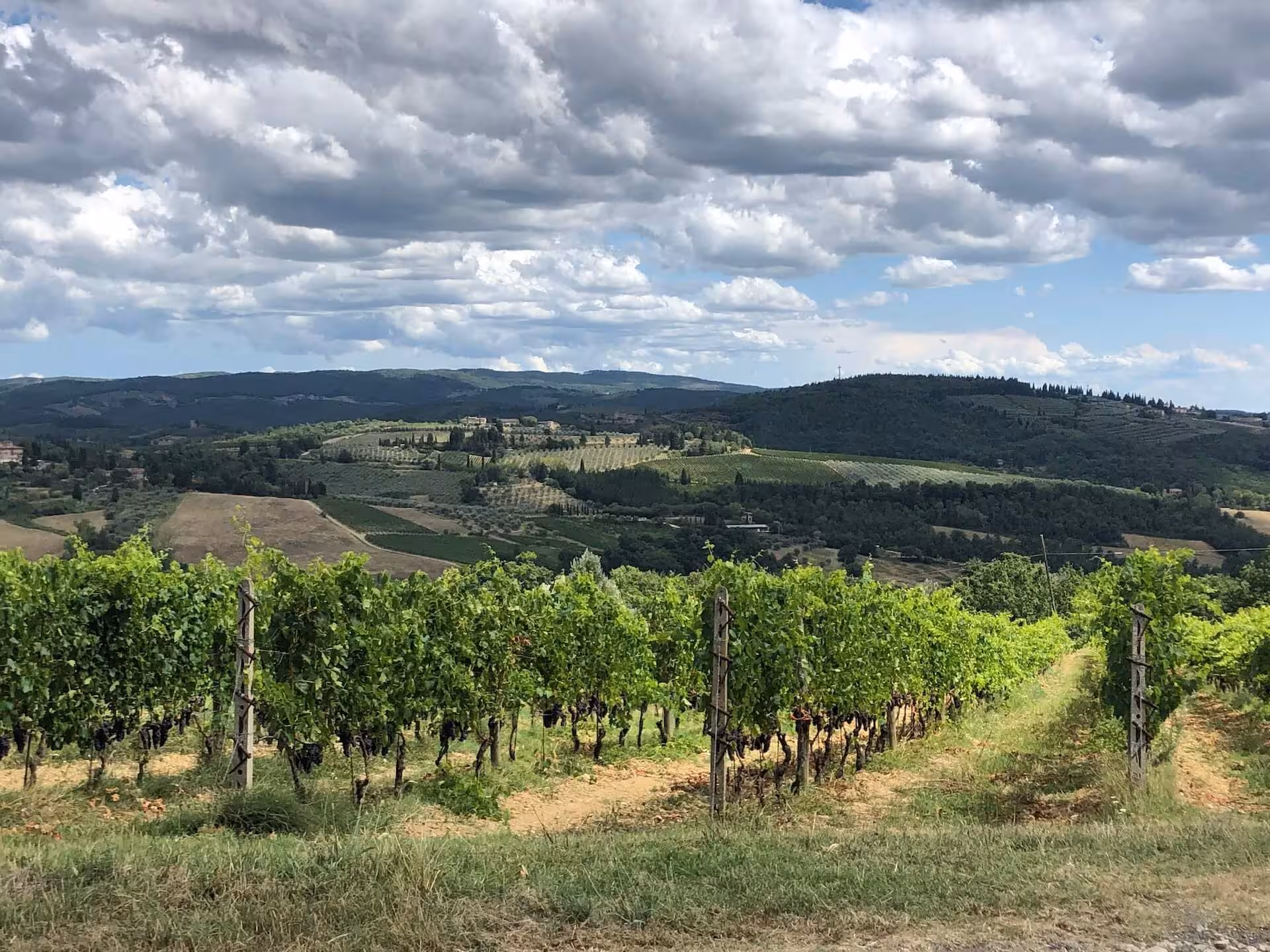 Expansive view of lush Chianti vineyards under a dramatic cloudy sky, perfect for wine tours in Tuscany.