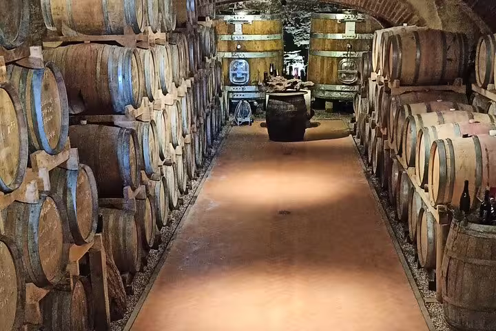 Historic Chianti wine cellar lined with wooden barrels, featured on a private Pisa and Tuscany wine tasting day tour