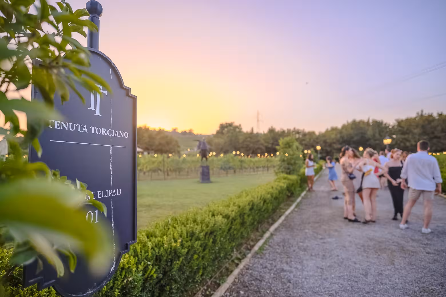 Group of visitors enjoying sunset at Tenuta Torciano vineyard during Chianti small-group winery tour.