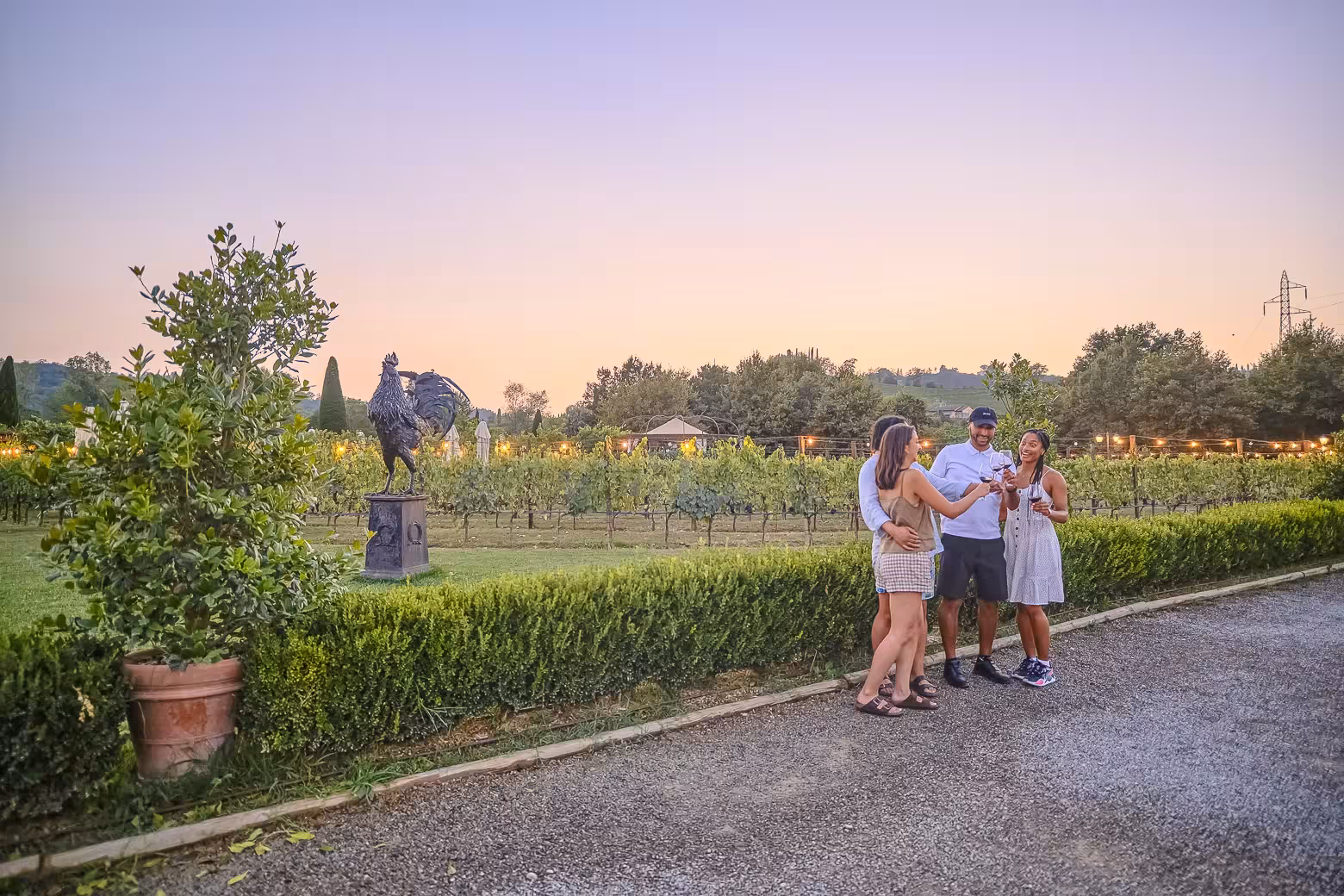 Group of friends toasting wine glasses at sunset in a picturesque Chianti vineyard setting.