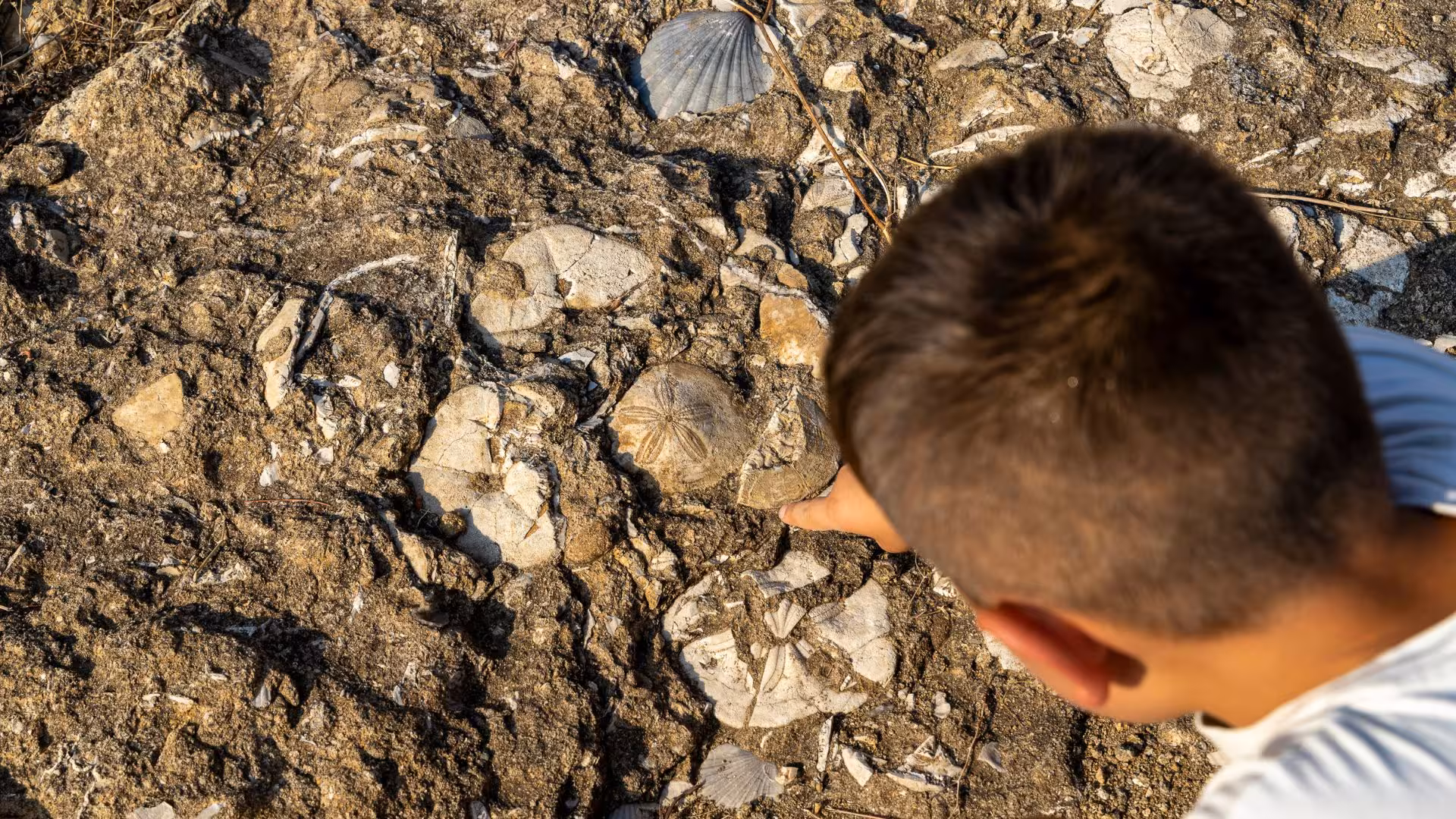 Child exploring ancient fossils in rocky terrain at Giara Park, highlighting Sardinia's natural history.
