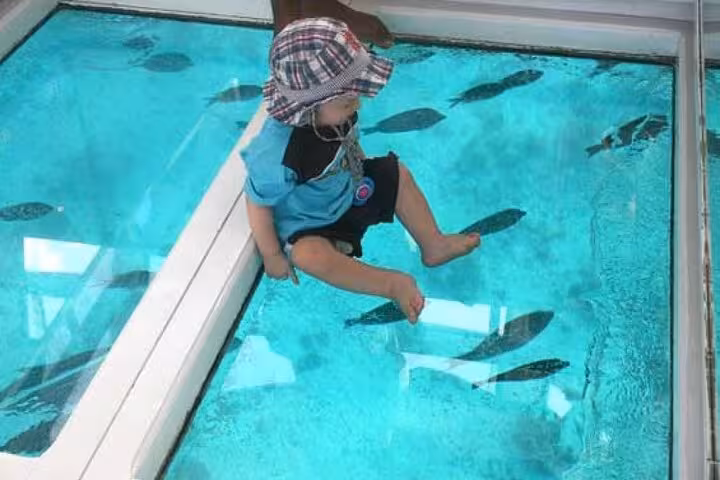 Child sitting on glass floor watching fish below on a Hurghada glass bottom boat trip in the Red Sea
